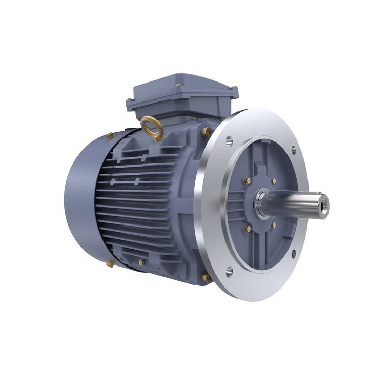 Cast Iron Motor, 15 HP, 3 Ph, 50 Hz, 400 V, 1500 RPM, 160M Frame, TEFC