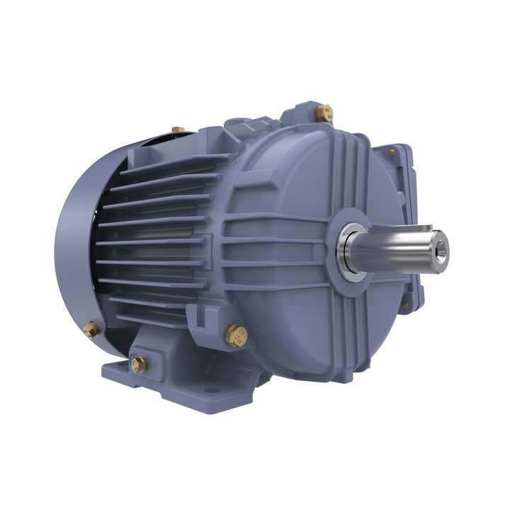 Cast Iron Motor, 1.50 HP, 3 Ph, 50 Hz, 400 V, 1500 RPM, 90S Frame, TEFC