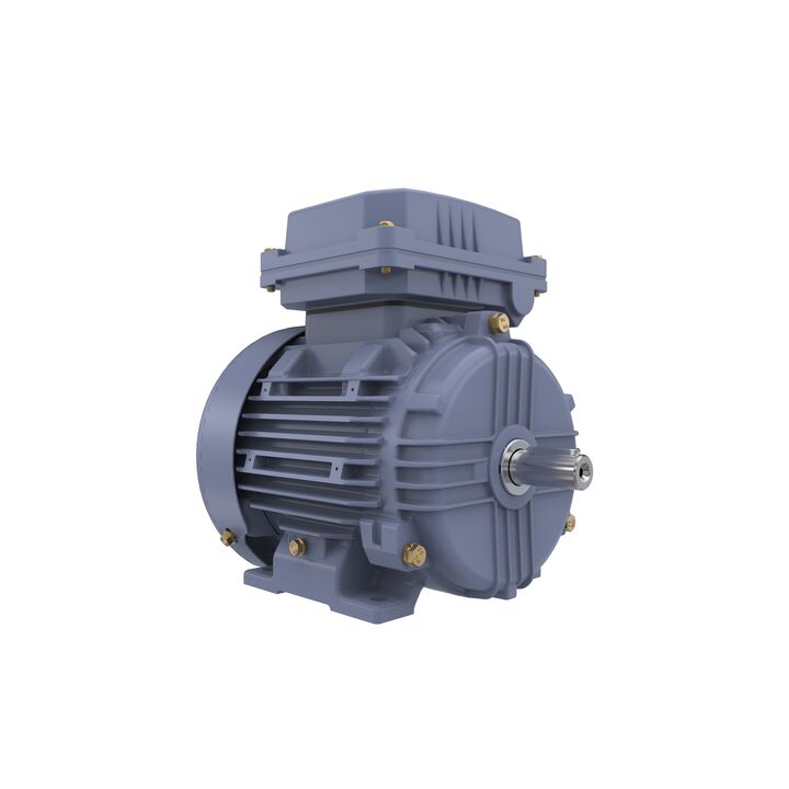 Cast Iron Motor, 1 HP, 3 Ph, 50 Hz, 400 V, 3000 RPM, 80M Frame, TEFC