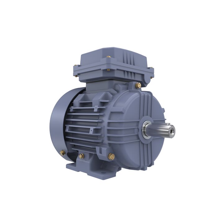 Cast Iron Motor, 1 HP, 3 Ph, 50 Hz, 400 V, 1000 RPM, 90S Frame, TEFC