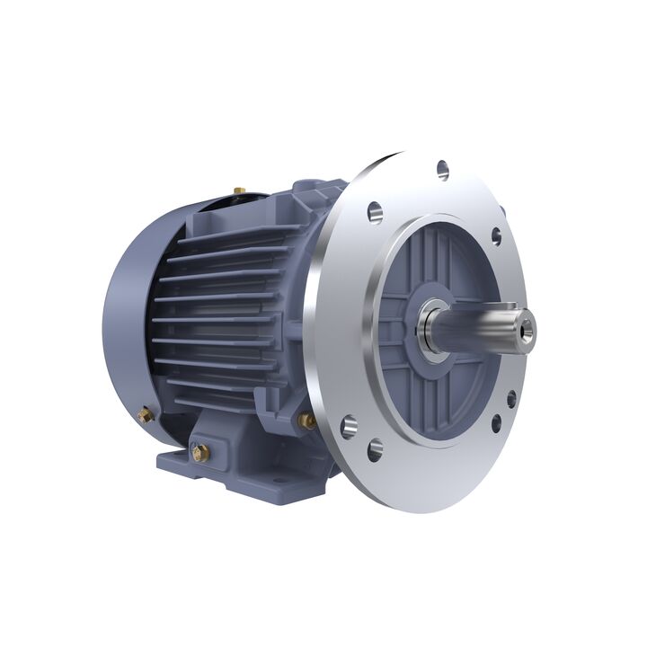 Cast Iron Motor, 1.50 HP, 3 Ph, 50 Hz, 400 V, 1500 RPM, 90S Frame, TEFC