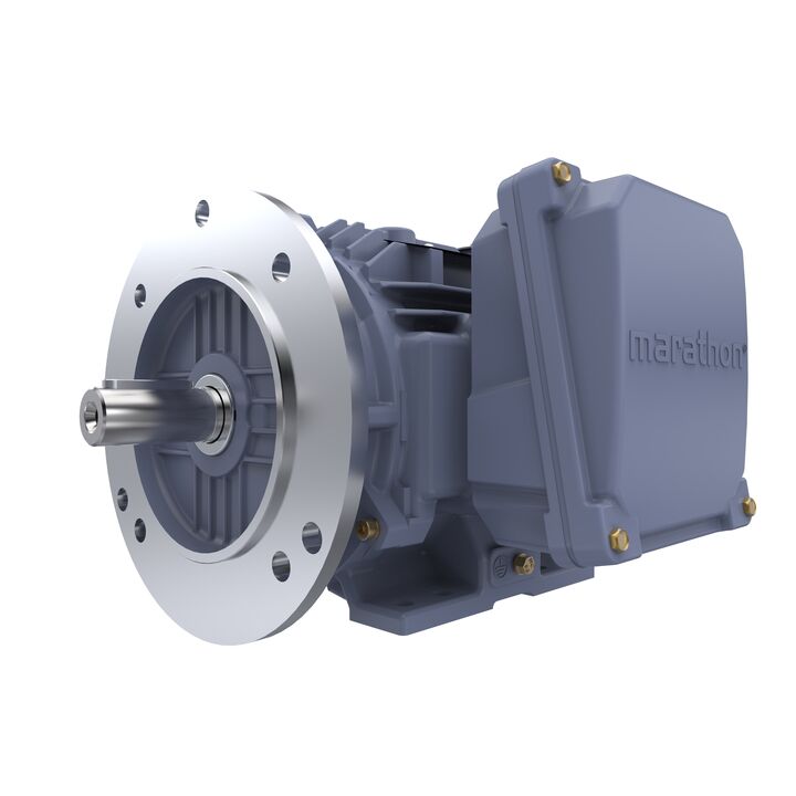 Cast Iron Motor, 1.50 HP, 3 Ph, 50 Hz, 400 V, 1000 RPM, 90L Frame, TEFC