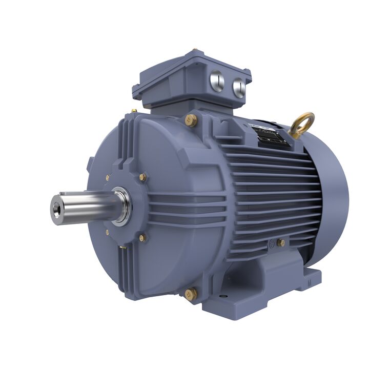 Cast Iron Motor, 25 HP, 3 Ph, 50 Hz, 400 V, 1500 RPM, 180M Frame, TEFC