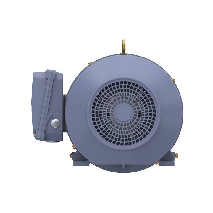 Cast Iron Motor, 10 HP, 3 Ph, 50 Hz, 400 V, 3000 RPM, 132S Frame, TEFC