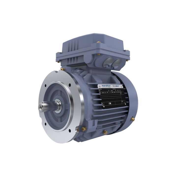 Cast Iron Motor, 1.50 HP, 3 Ph, 50 Hz, 400 V, 3000 RPM, 80M Frame, TEFC