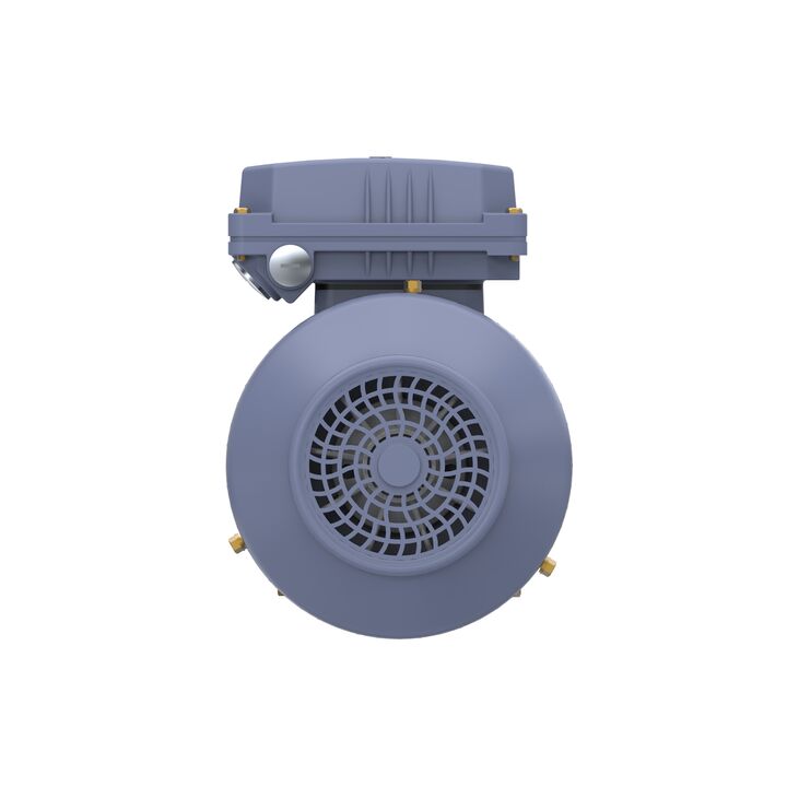 Cast Iron Motor, 1 HP, 3 Ph, 50 Hz, 400 V, 3000 RPM, 80M Frame, TEFC