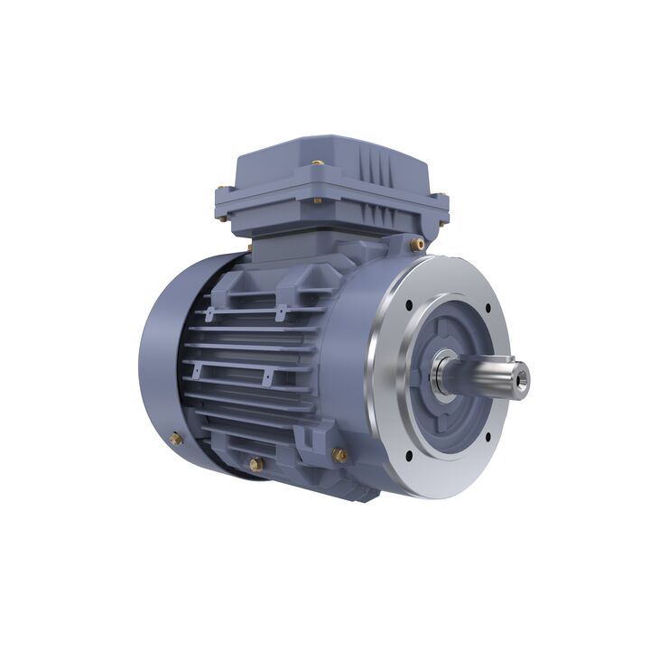 Cast Iron Motor, 1.50 HP, 3 Ph, 50 Hz, 400 V, 1000 RPM, 90L Frame, TEFC