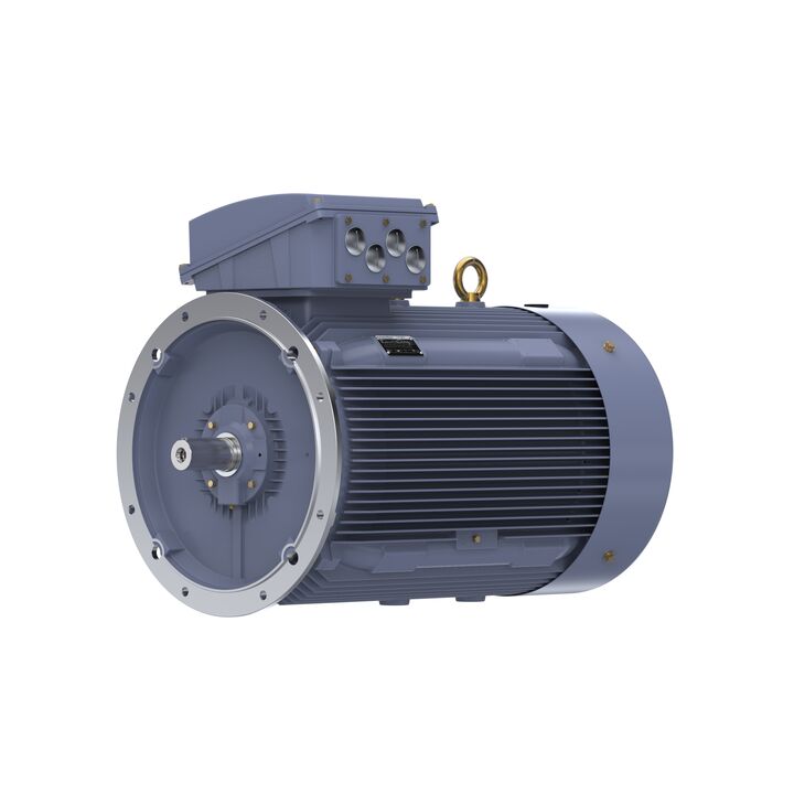 Cast Iron Motor, 270 HP, 3 Ph, 50 Hz, 400 V, 750 RPM, 355L Frame, TEFC