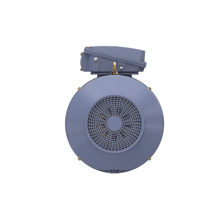 Cast Iron Motor, 150 HP, 3 Ph, 50 Hz, 400 V, 1000 RPM, 315L Frame, TEFC