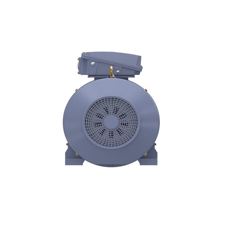 Cast Iron Motor, 150 HP, 3 Ph, 50 Hz, 400 V, 1000 RPM, 315L Frame, TEFC