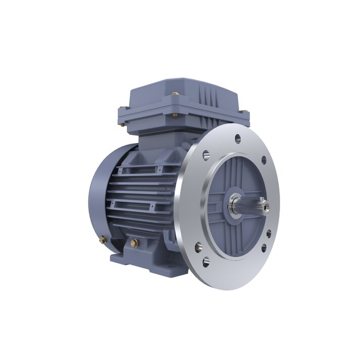 Cast Iron Motor, 1.50 HP, 3 Ph, 50 Hz, 400 V, 3000 RPM, 80M Frame, TEFC