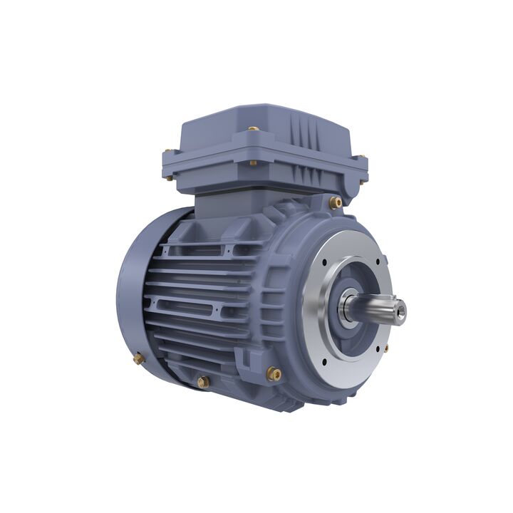 Cast Iron Motor, 1 HP, 3 Ph, 50 Hz, 400 V, 3000 RPM, 80M Frame, TEFC