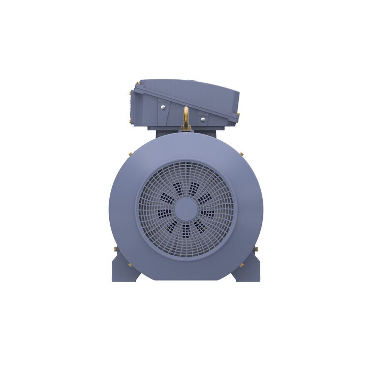 Cast Iron Motor, 335 HP, 3 Ph, 50 Hz, 400 V, 3000 RPM, 355M Frame, TEFC