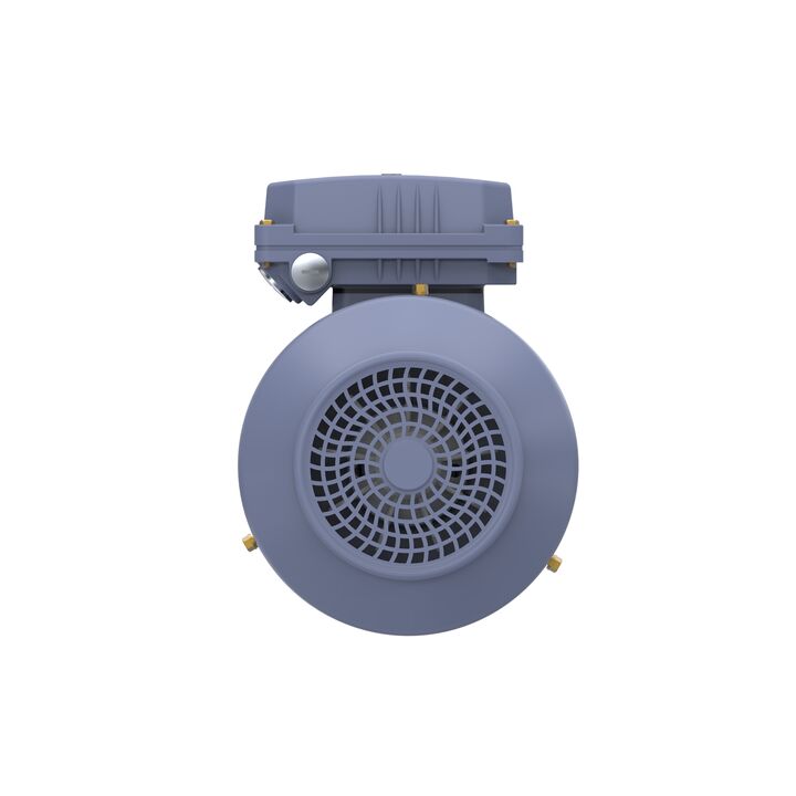 Cast Iron Motor, 1.50 HP, 3 Ph, 50 Hz, 400 V, 1000 RPM, 90L Frame, TEFC