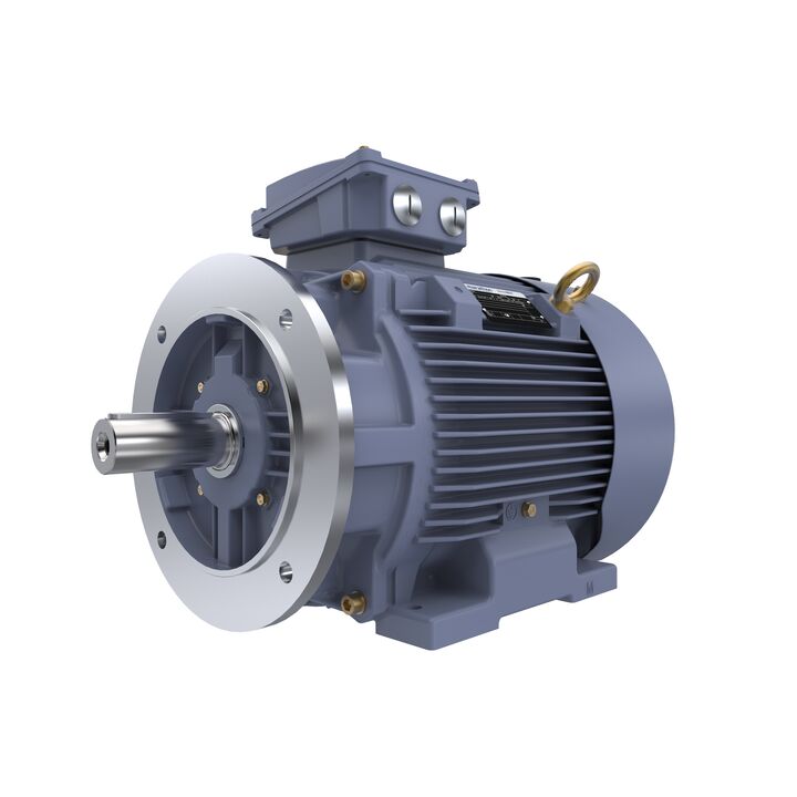 Cast Iron Motor, 25 HP, 3 Ph, 50 Hz, 400 V, 1500 RPM, 180M Frame, TEFC