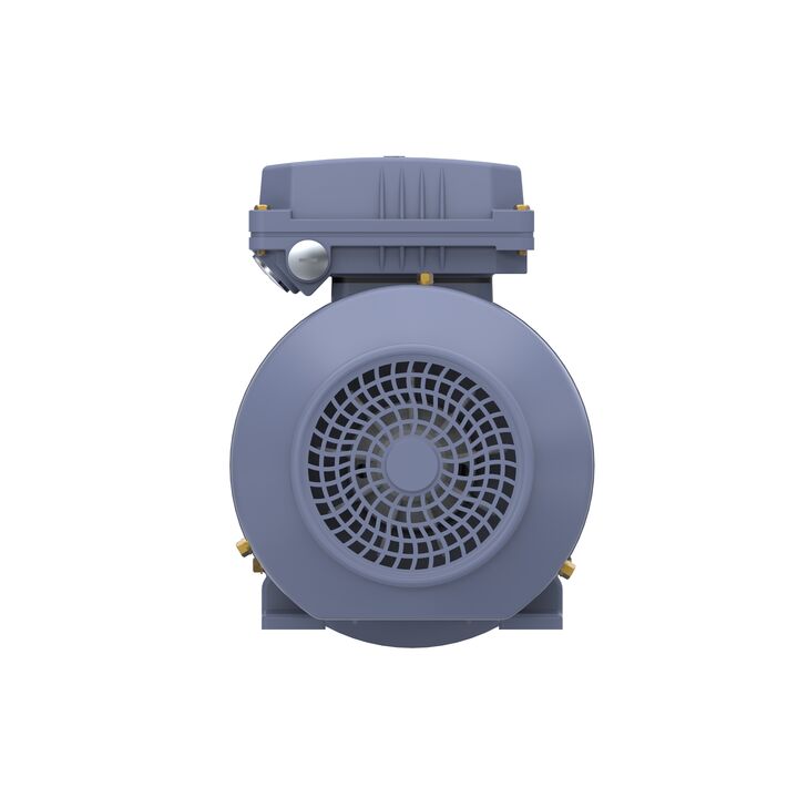 Cast Iron Motor, 1 HP, 3 Ph, 50 Hz, 400 V, 1000 RPM, 90S Frame, TEFC