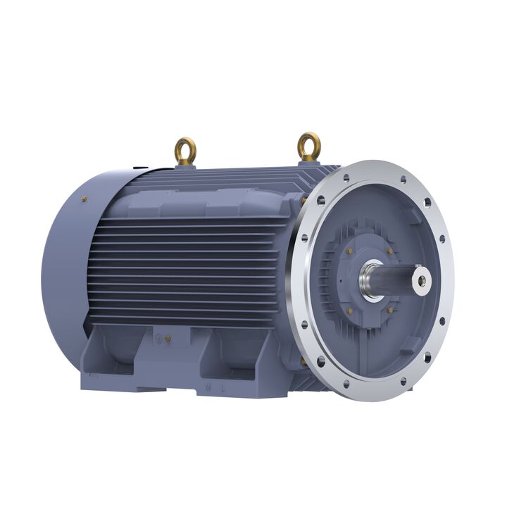 Cast Iron Motor, 150 HP, 3 Ph, 50 Hz, 400 V, 1000 RPM, 315L Frame, TEFC