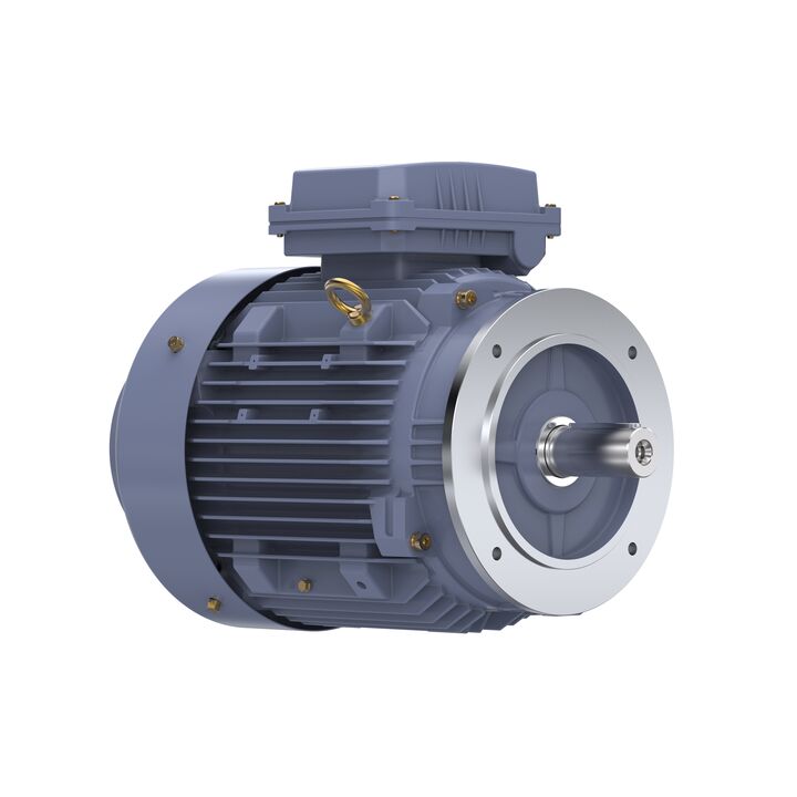 Cast Iron Motor, 10 HP, 3 Ph, 50 Hz, 400 V, 1500 RPM, 132M Frame, TEFC