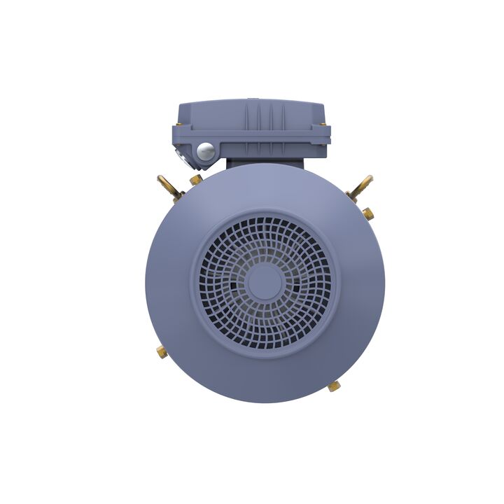 Cast Iron Motor, 10 HP, 3 Ph, 50 Hz, 400 V, 3000 RPM, 132S Frame, TEFC