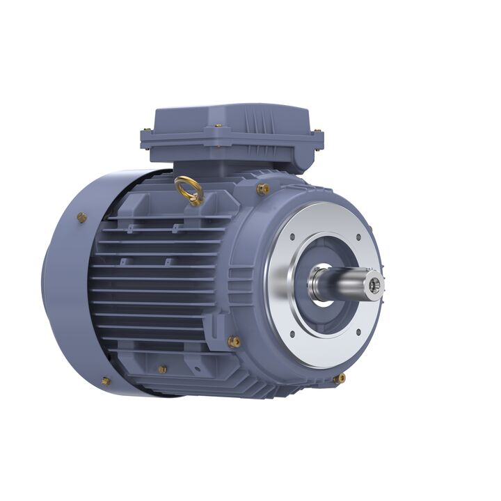 Cast Iron Motor, 10 HP, 3 Ph, 50 Hz, 400 V, 1500 RPM, 132M Frame, TEFC