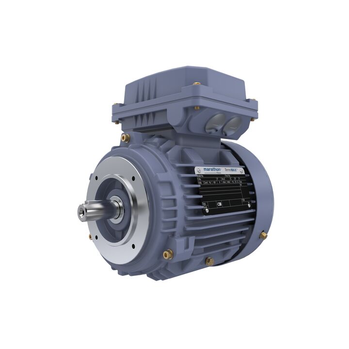 Cast Iron Motor, 1 HP, 3 Ph, 50 Hz, 400 V, 3000 RPM, 80M Frame, TEFC