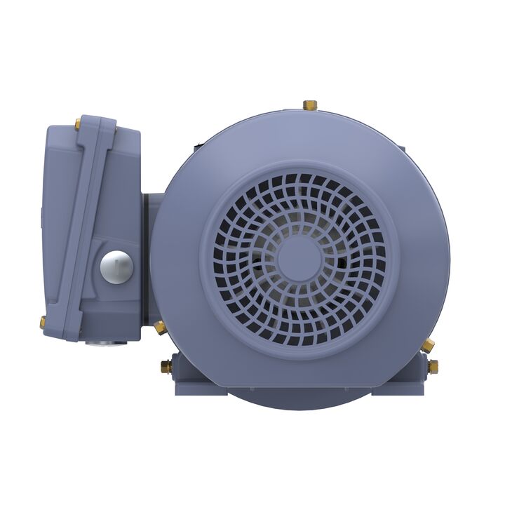 Cast Iron Motor, 1.50 HP, 3 Ph, 50 Hz, 400 V, 1000 RPM, 90L Frame, TEFC