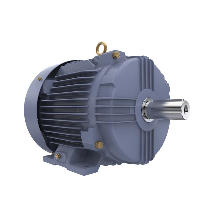 Cast Iron Motor, 10 HP, 3 Ph, 50 Hz, 400 V, 3000 RPM, 132S Frame, TEFC