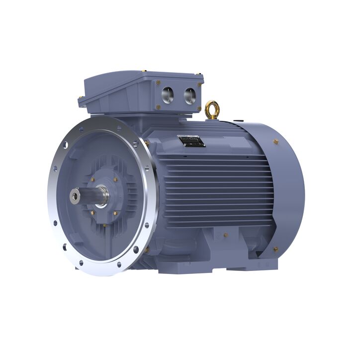 Cast Iron Motor, 150 HP, 3 Ph, 50 Hz, 400 V, 1000 RPM, 315L Frame, TEFC