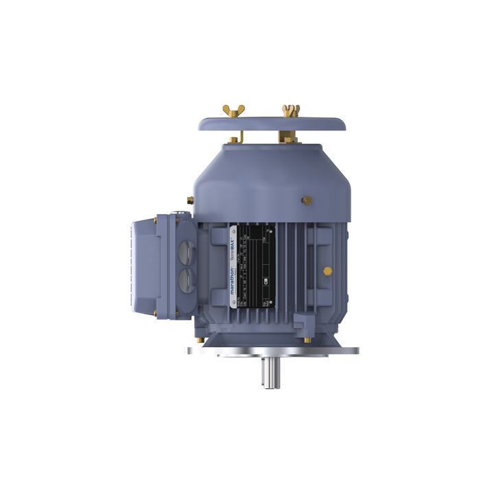 Cast Iron Motor, 1 HP, 3 Ph, 50 Hz, 400 V, 3000 RPM, 80M Frame, TEFC