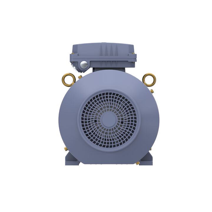 Cast Iron Motor, 4 HP, 3 Ph, 50 Hz, 400 V, 1000 RPM, 132S Frame, TEFC