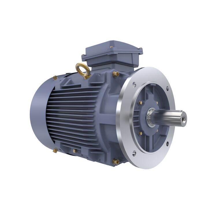 Cast Iron Motor, 25 HP, 3 Ph, 50 Hz, 400 V, 1500 RPM, 180M Frame, TEFC