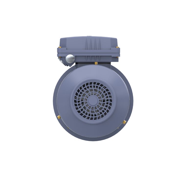 Cast Iron Motor, 1 HP, 3 Ph, 50 Hz, 400 V, 3000 RPM, 80M Frame, TEFC