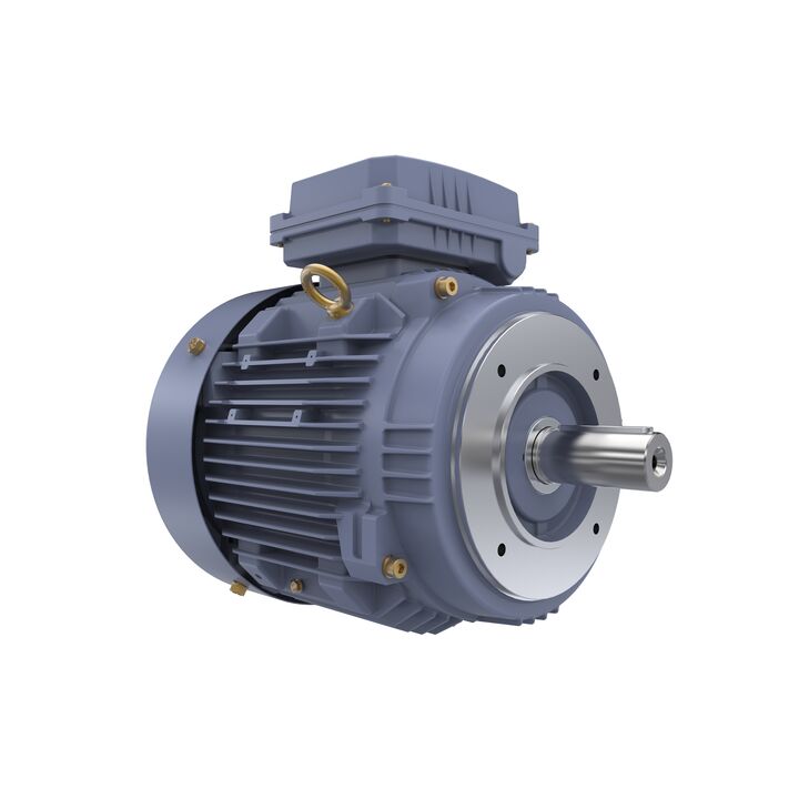 Cast Iron Motor, 10 HP, 3 Ph, 50 Hz, 400 V, 3000 RPM, 132S Frame, TEFC