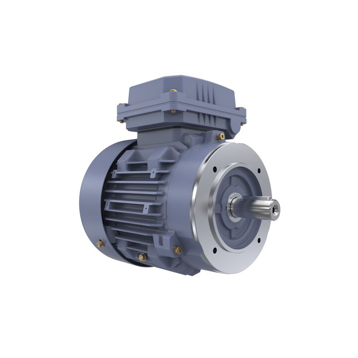 Cast Iron Motor, 1 HP, 3 Ph, 50 Hz, 400 V, 1000 RPM, 90S Frame, TEFC