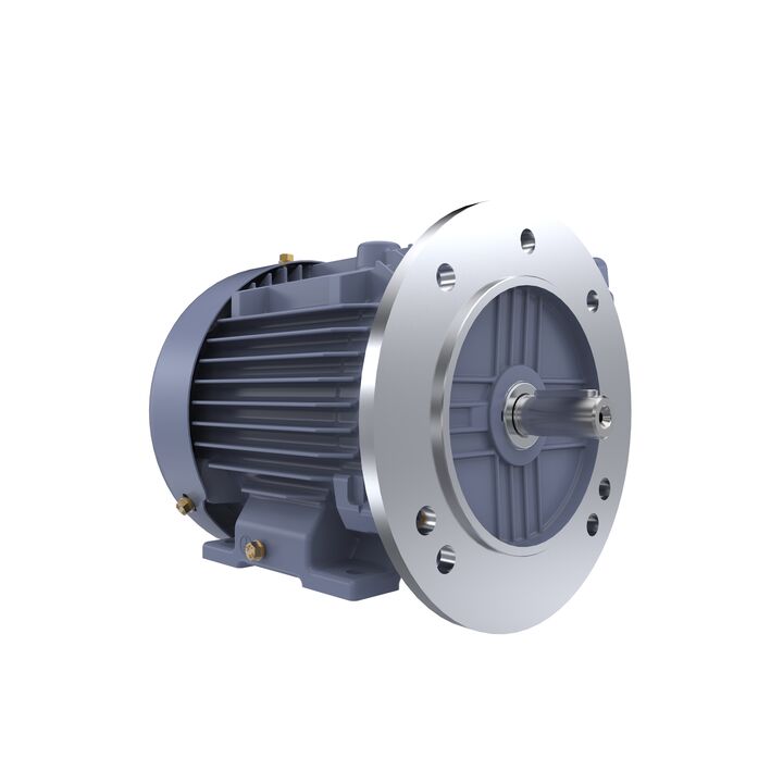 Cast Iron Motor, 1 HP, 3 Ph, 50 Hz, 400 V, 3000 RPM, 80M Frame, TEFC