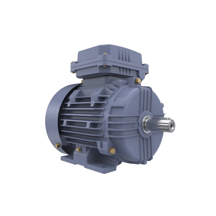 Cast Iron Motor, 1.50 HP, 3 Ph, 50 Hz, 400 V, 1000 RPM, 90L Frame, TEFC