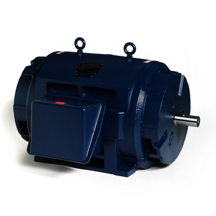 General Purpose Motor, 350 & 300 HP, 3 Ph, 60 & 50 Hz, 460 & 380 V, 3600 & 3000 RPM, 447TS Frame, DP