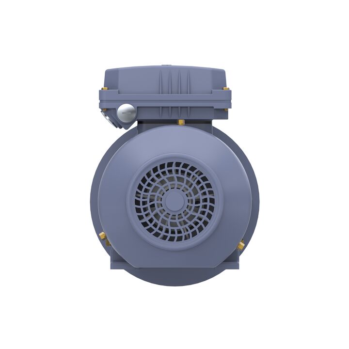Cast Iron Motor, 1.50 HP, 3 Ph, 50 Hz, 400 V, 3000 RPM, 80M Frame, TEFC