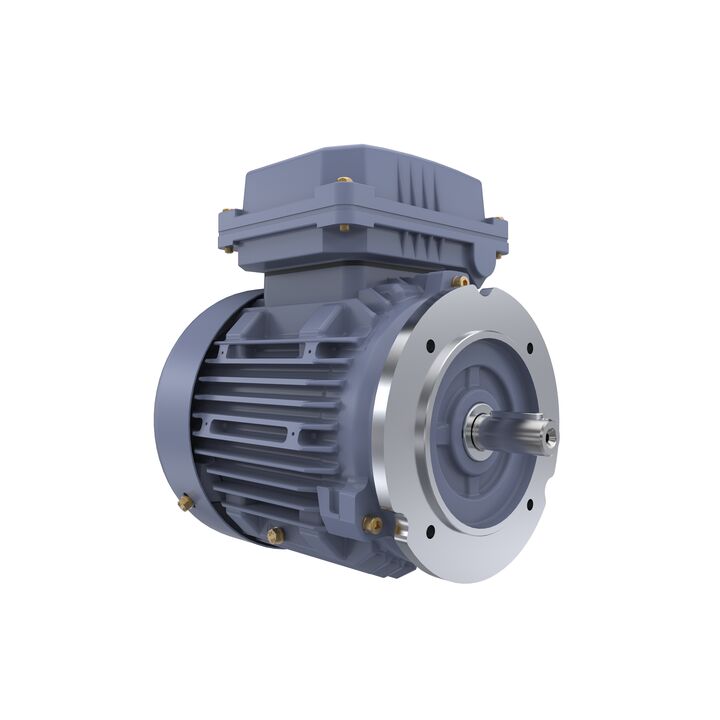 Cast Iron Motor, 1 HP, 3 Ph, 50 Hz, 400 V, 1500 RPM, 80M Frame, TEFC
