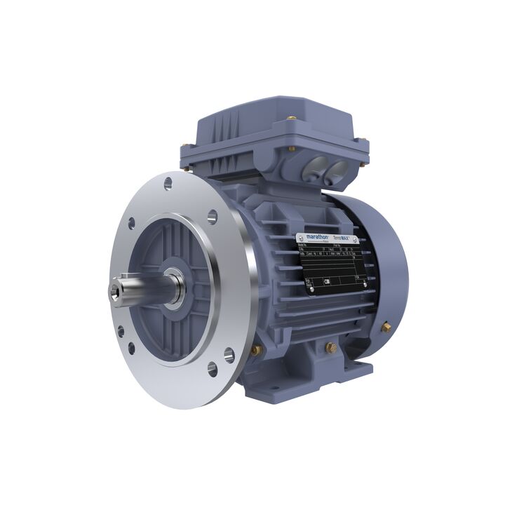 Cast Iron Motor, 1.50 HP, 3 Ph, 50 Hz, 400 V, 1000 RPM, 90L Frame, TEFC