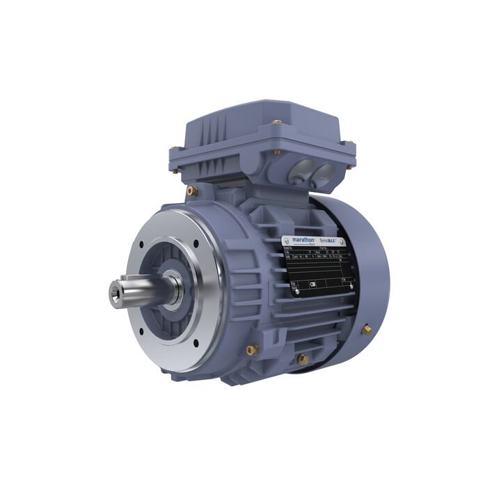 Cast Iron Motor, 1 HP, 3 Ph, 50 Hz, 400 V, 1000 RPM, 90S Frame, TEFC