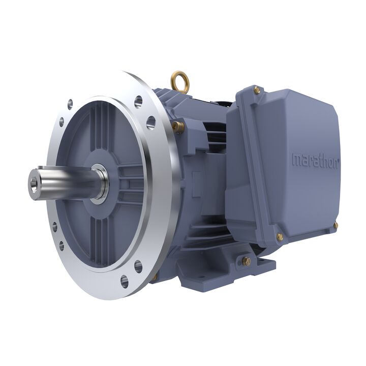 Cast Iron Motor, 10 HP, 3 Ph, 50 Hz, 400 V, 3000 RPM, 132S Frame, TEFC