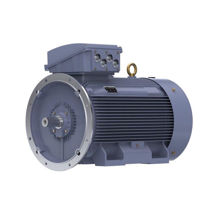 Cast Iron Motor, 295 HP, 3 Ph, 50 Hz, 400 V, 750 RPM, 355L Frame, TEFC