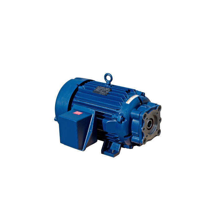 General Purpose Pump Motor, 10 & 7.50 HP, 3 Ph, 60 & 50 Hz, 208-230/460 & 190/380 V, 1800 & 1500 RPM, 215TZ Frame, TEFC