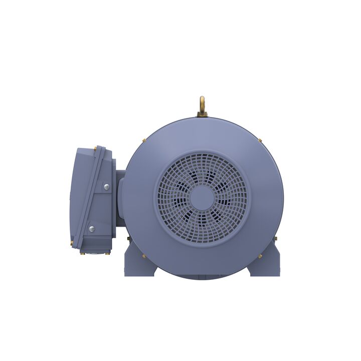 Cast Iron Motor, 150 HP, 3 Ph, 50 Hz, 400 V, 1000 RPM, 315L Frame, TEFC