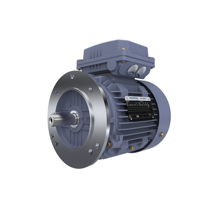 Cast Iron Motor, 1.50 HP, 3 Ph, 50 Hz, 400 V, 1000 RPM, 90L Frame, TEFC