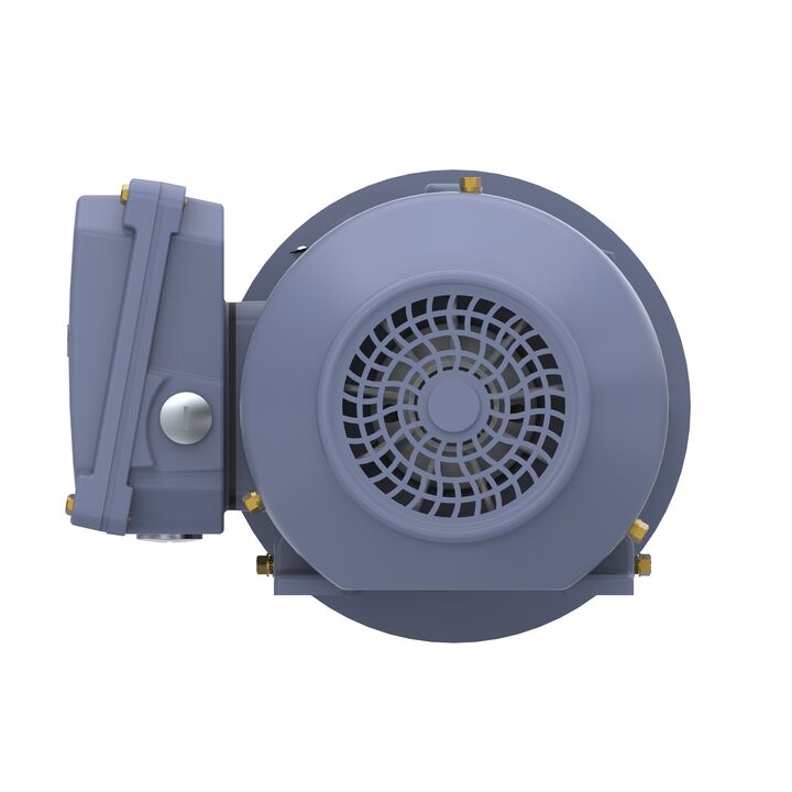 Cast Iron Motor, 1 HP, 3 Ph, 50 Hz, 400 V, 3000 RPM, 80M Frame, TEFC