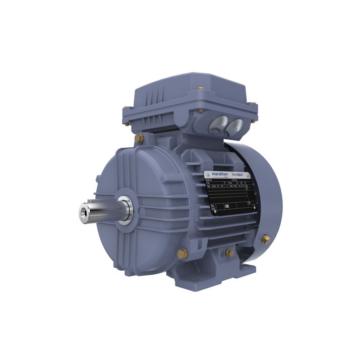 Cast Iron Motor, 1.50 HP, 3 Ph, 50 Hz, 400 V, 1500 RPM, 90S Frame, TEFC