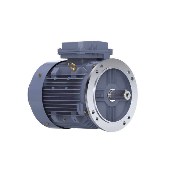 Cast Iron Motor, 10 HP, 3 Ph, 50 Hz, 400 V, 1500 RPM, 132M Frame, TEFC