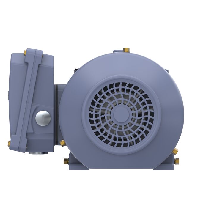 Cast Iron Motor, 1.50 HP, 3 Ph, 50 Hz, 400 V, 3000 RPM, 80M Frame, TEFC